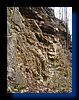 IMG_2177.JPG