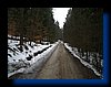 IMG_2242.JPG