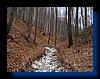 IMG_2474.JPG