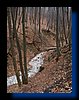 IMG_2484.JPG