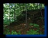 IMG_2455.JPG
