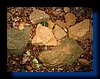 IMG_2471.JPG