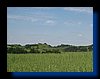 IMG_2566.JPG