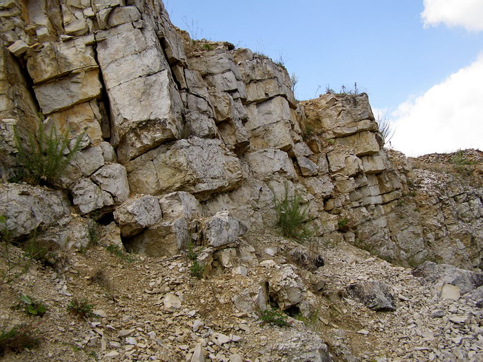 P7140062m