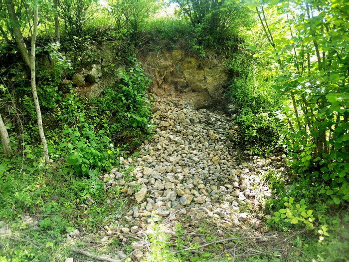 P7147031m