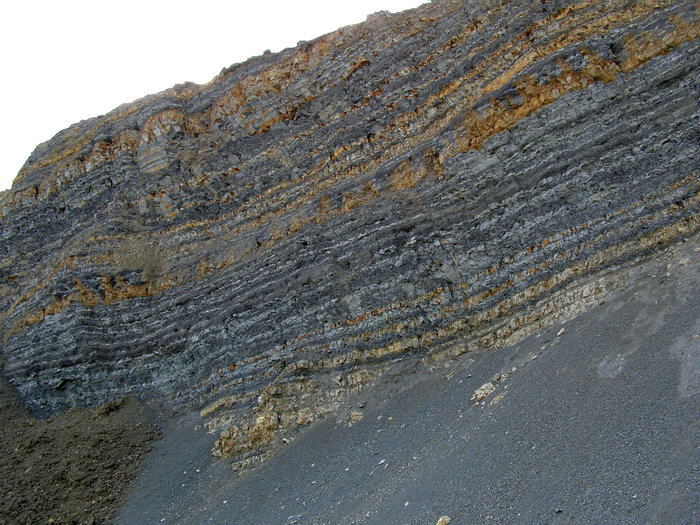 P7150117m