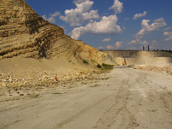 P7150128m