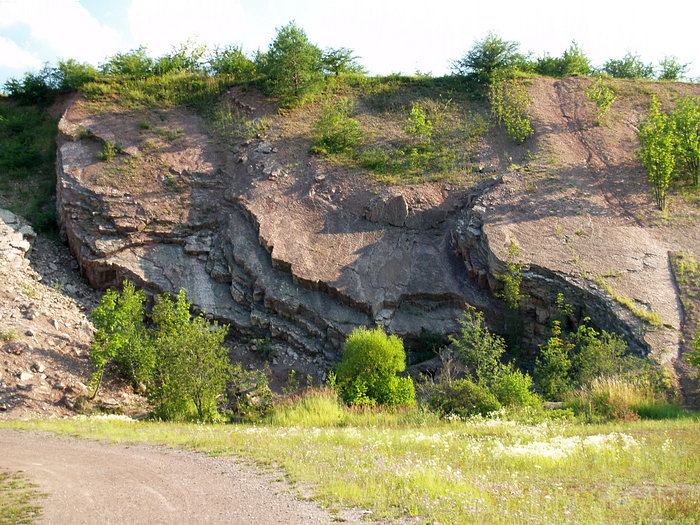 P7157094m