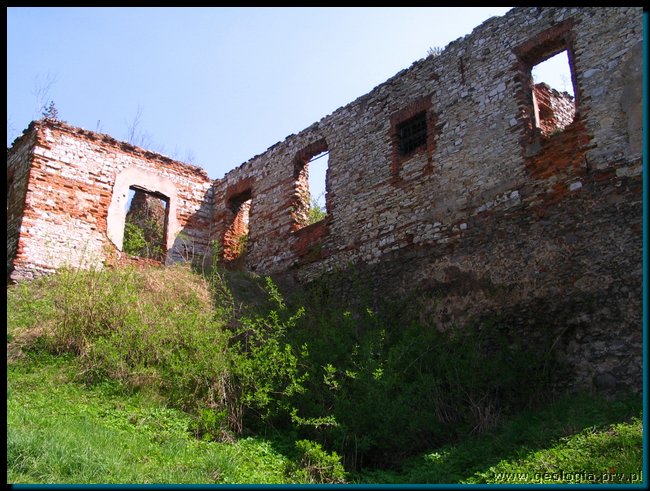 pic_204 poreba-zegoty.jpg