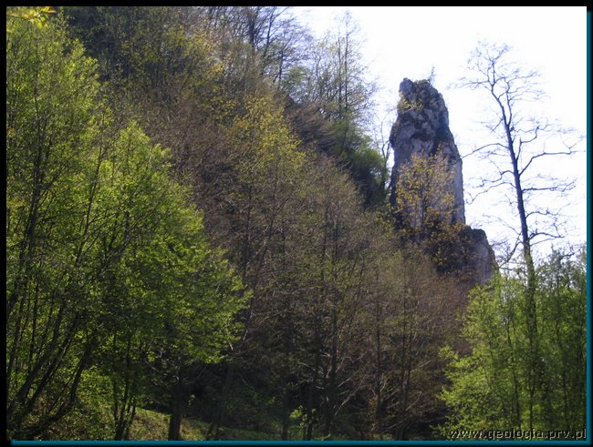 pic_218 skaly galdynowskie.jpg