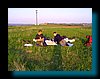 pic_289 zalas - buca gora.jpg