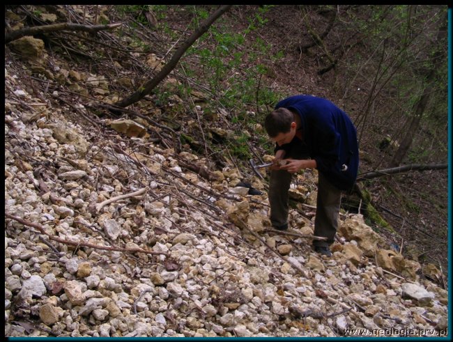 pic_039 zalas lom z uskokiem.jpg