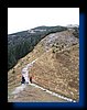 IMG_5886.JPG