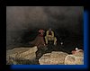 IMG_5953.JPG