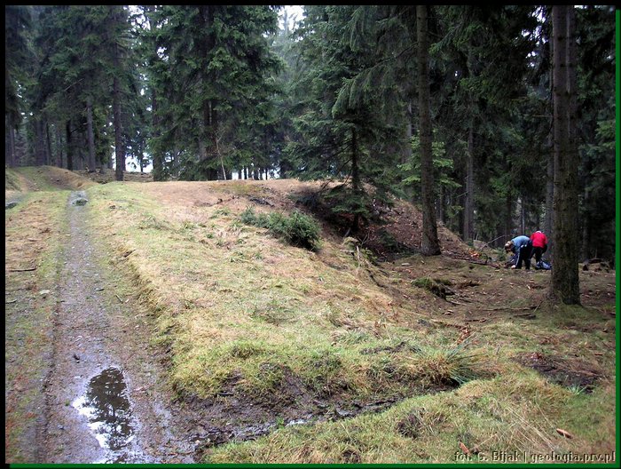 pic_208 Czarnow - okolice.JPG