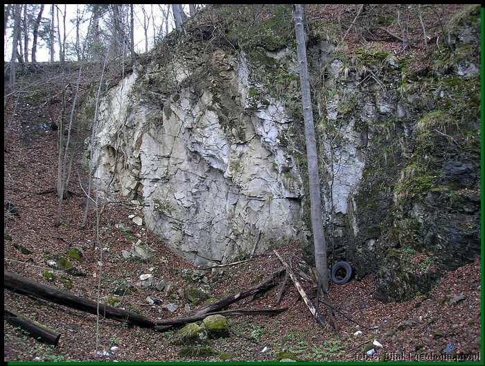pic_210 Czarnow - okolice.JPG