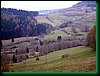 pic_200 Czarnow - Redziny.JPG