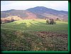 pic_201 Redziny - G Bielec.JPG