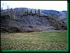 pic_206 Czarnow - szczescie eweliny.JPG