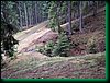 pic_207 Czarnow - okolice.JPG