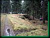 pic_208 Czarnow - okolice.JPG