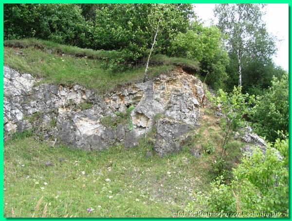 dziewki fot 01.JPG