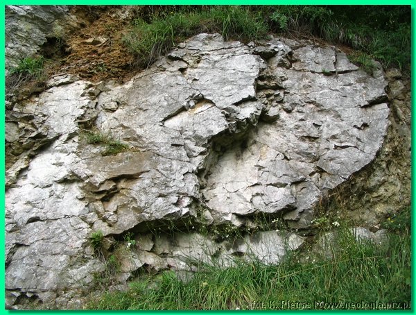 dziewki fot 06.JPG